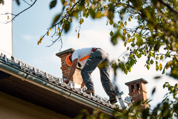 Best Flat Roof Repair Services  in Hornsby Bend, TX