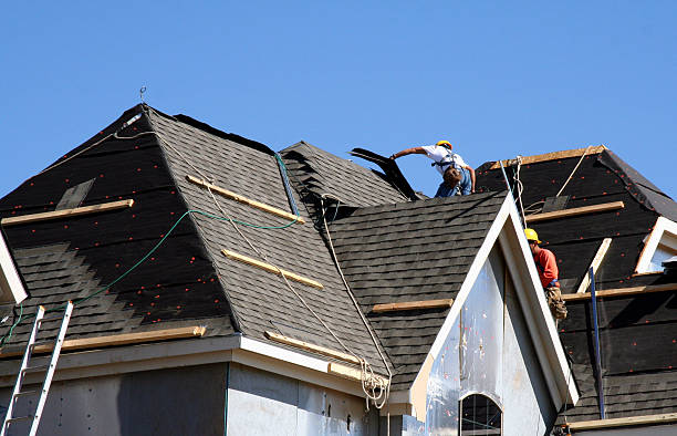 Best Metal Roofing Contractor  in Hornsby Bend, TX