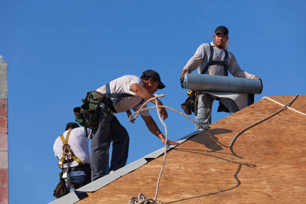 Best Roof Maintenance Services  in Hornsby Bend, TX