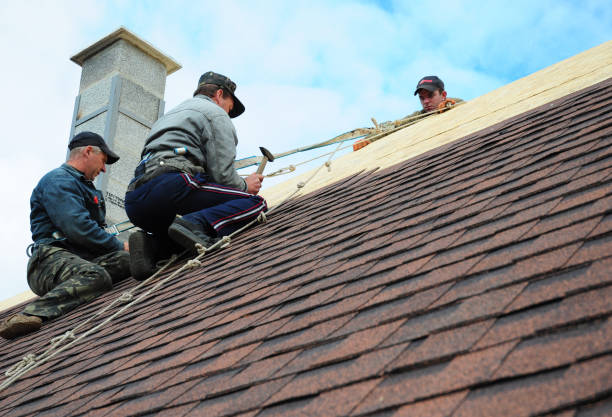 Best New Roof Installation  in Hornsby Bend, TX